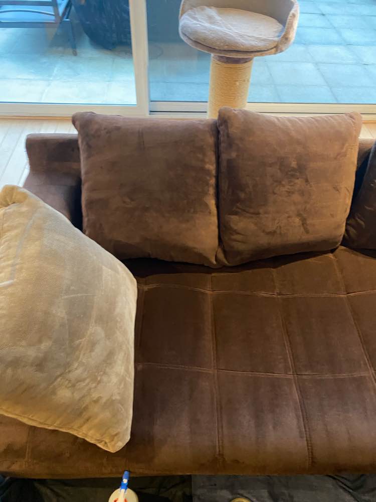 Zetel na professionele reiniging in Lier - vlekvrij resultaat