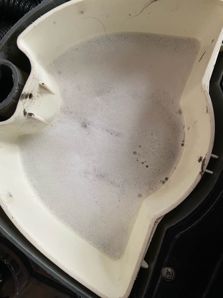 Zetel na professionele reiniging in Haacht - vlekvrij resultaat