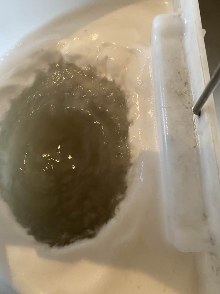 Zetel na professionele reiniging in Kruisem - vlekvrij resultaat