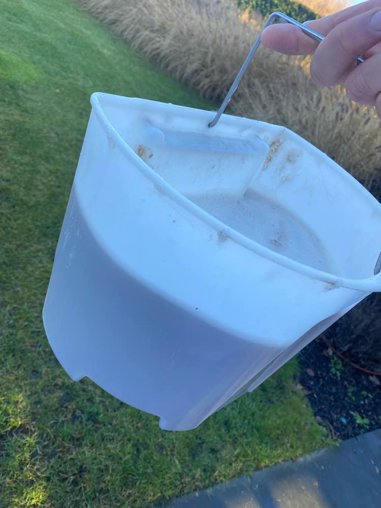 Zetel na professionele reiniging in Heusden-Zolder - vlekvrij resultaat