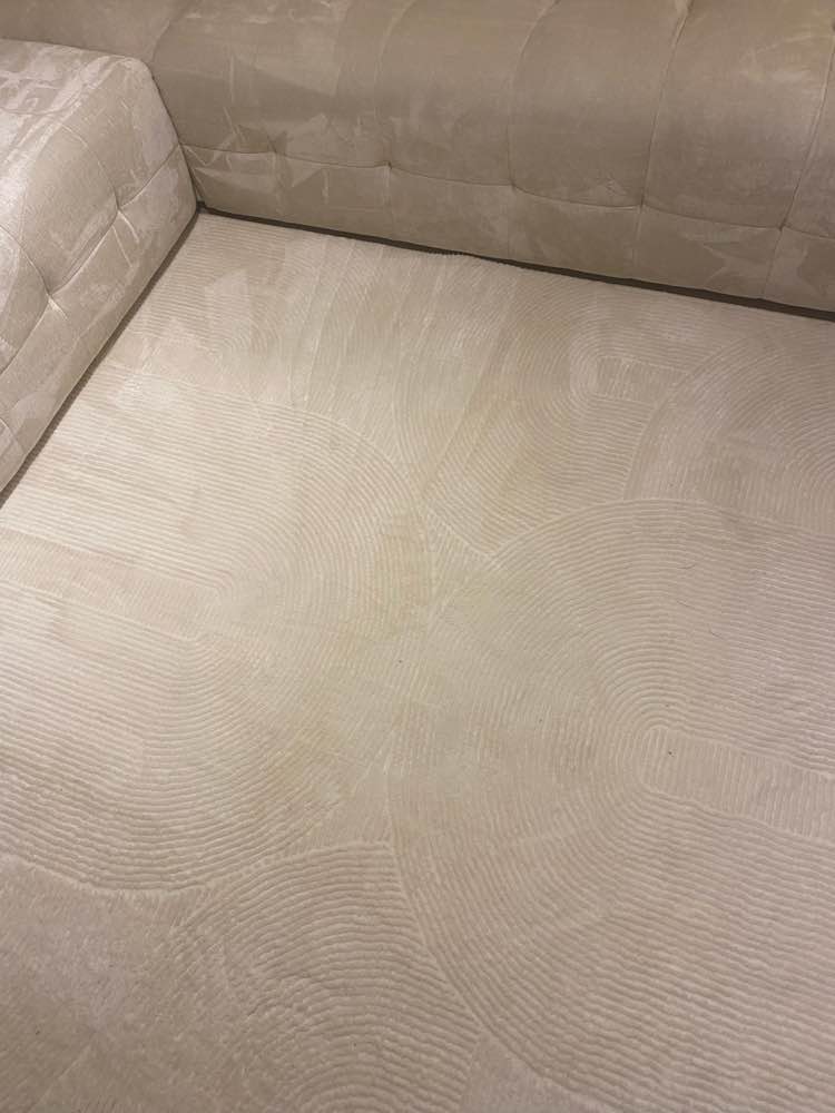 Zetel na professionele reiniging in Antwerpen - vlekvrij resultaat