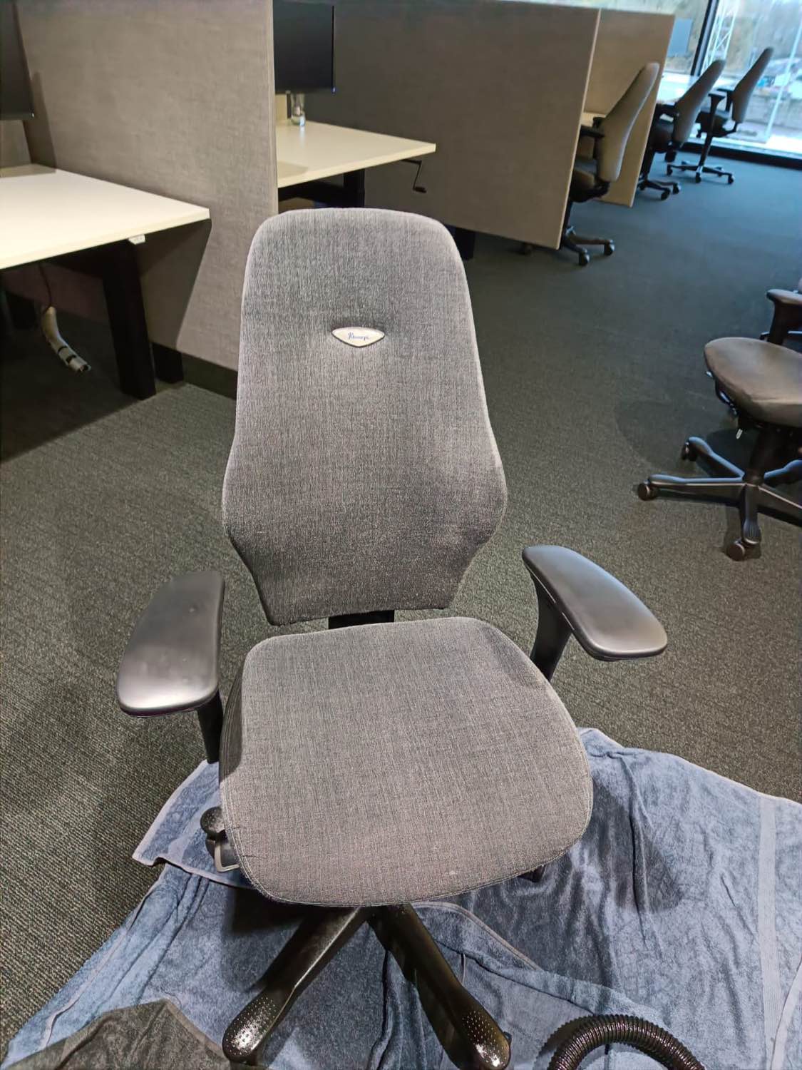 Zetel na professionele reiniging in Boom - vlekvrij resultaat